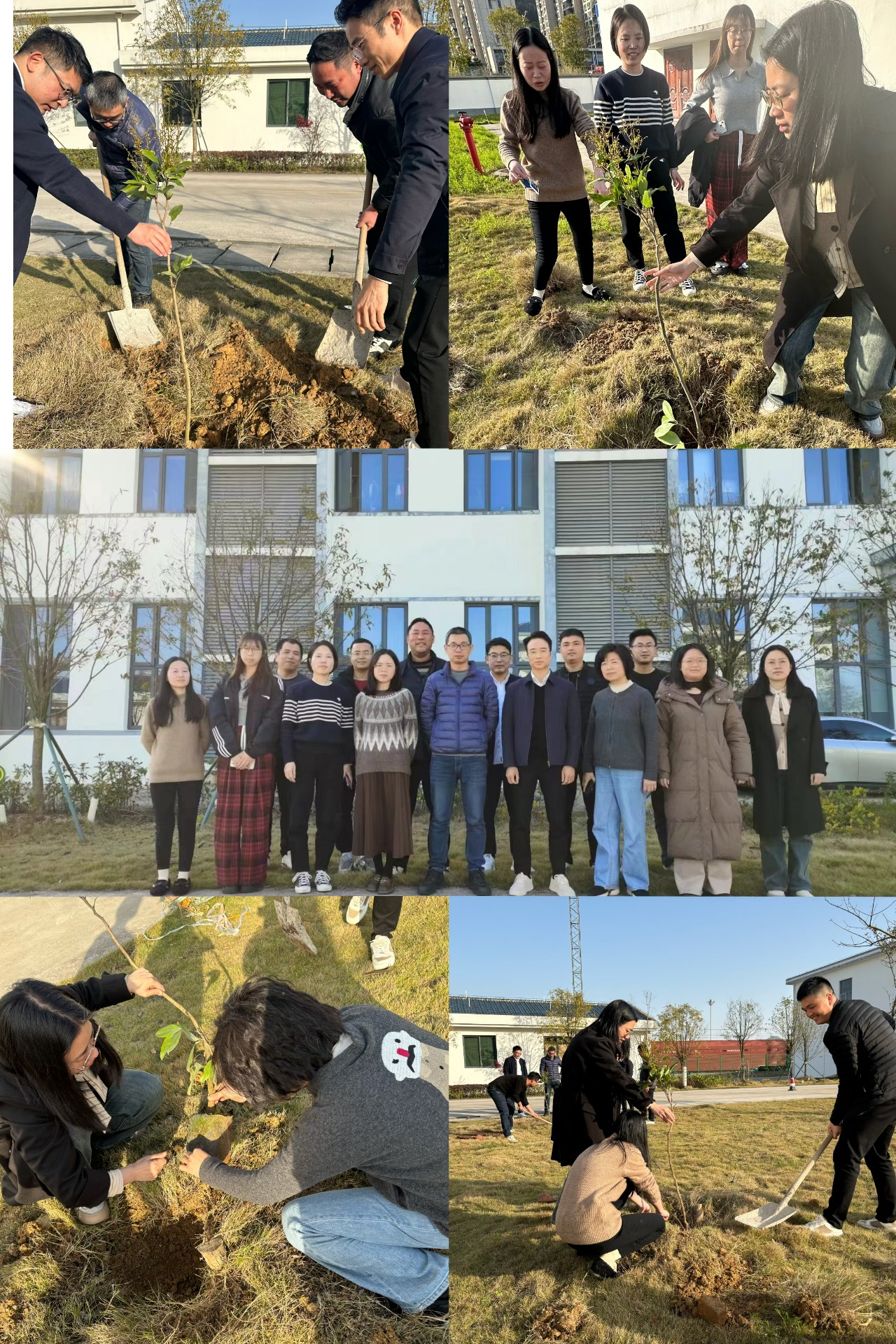2024-3-12綠色陸港，美麗寧德，阮克妙拍攝.jpg